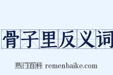 骨子里反义词是什么意思的图片